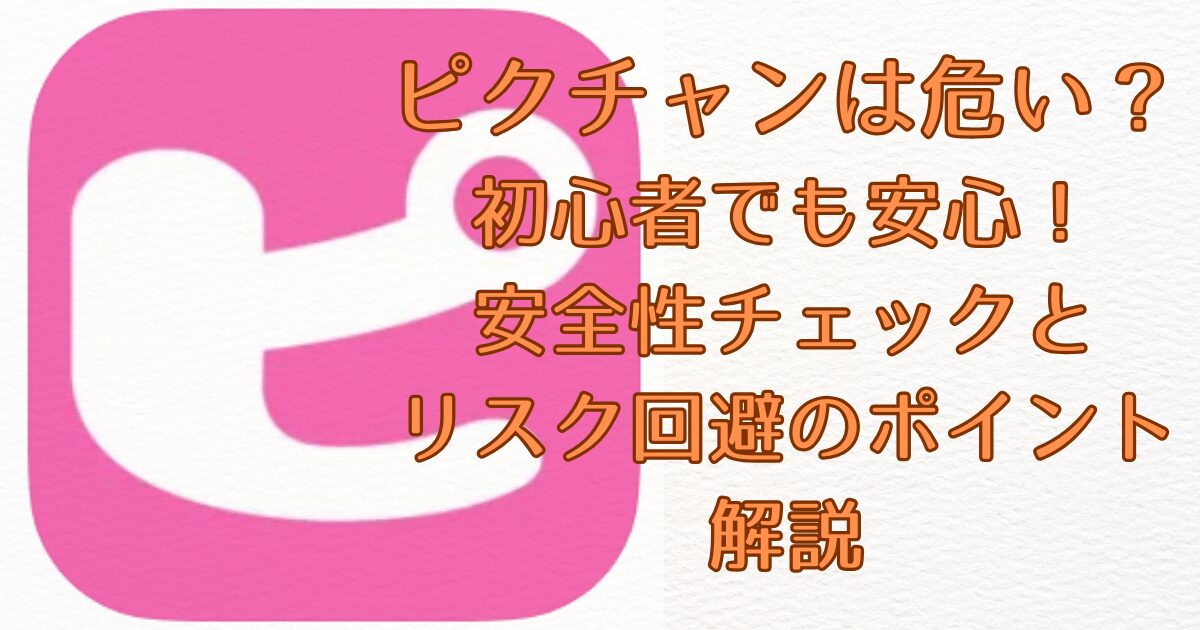 ピクチャンは危ない？その安全性を徹底検証画像